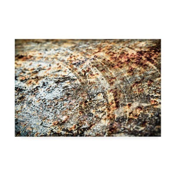 PhotoINC Studio 'Retro Rust' Canvas Art, 16x24, Trademark Fine Art, Mfr#: IC01653-C1624GG